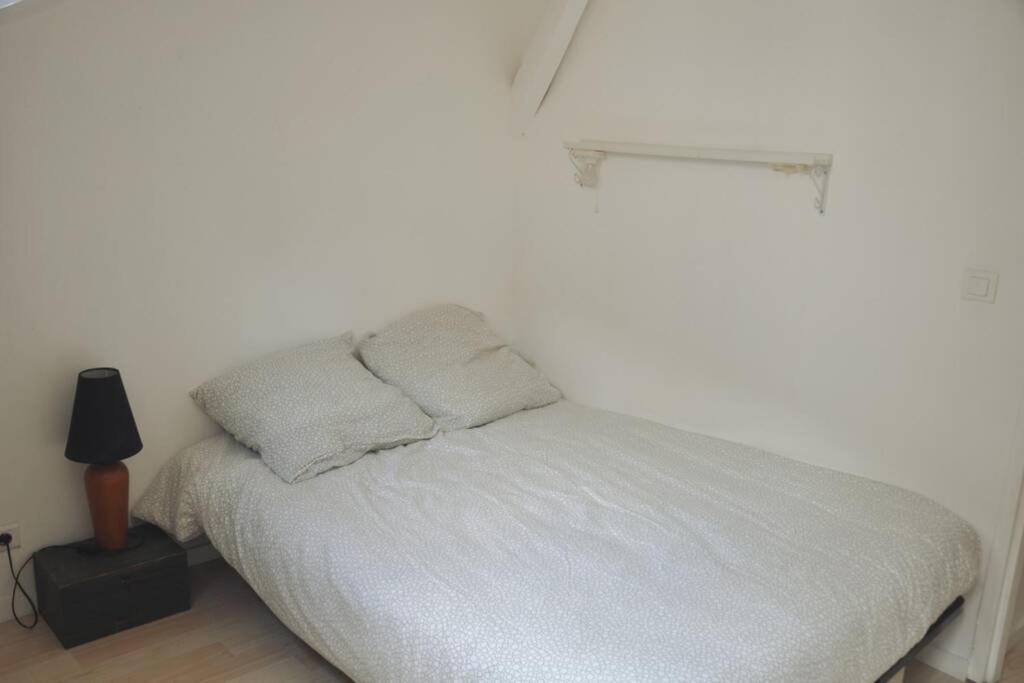 Duplex Avec Belle Terasse Au Centre De Bayonne公寓 外观 照片